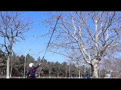 electric telescopic tree pruner