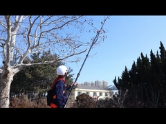 electric telescopic tree pruner