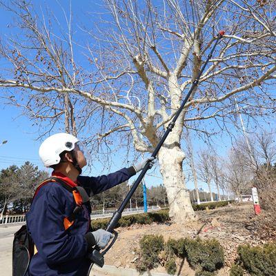 Mua Carbon Fiber Telescopic Pole Chainsaw 3m 5m 7m Định vị dây chuyền sản xuất trực tuyến