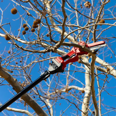Beli Glossy Hitam 10 kaki Electric Pole Saw Lightweight Electric Chainsaw Dengan Extension Pole pembuatan online