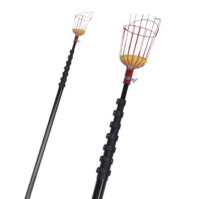 Buy 4.5m 15FT Carbon Fiber Harvesting Pole For Citrus , Avocado And Pears online manufacture