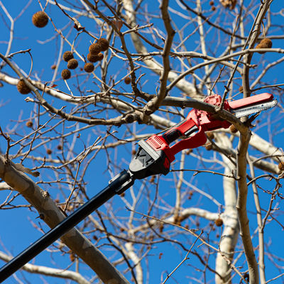 comprar 3m-7m Eletrônico Pruner de Árvores Extensiveis de Carbono Pura Telescópica Pruner de Árvores Elétrico Fabricação em linha